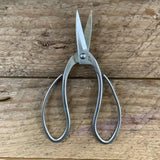 Stainless Garden Scissors