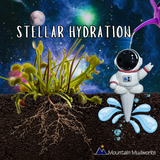 Ceramic Self-Watering Plant Spike - Astronaut Watering Spike