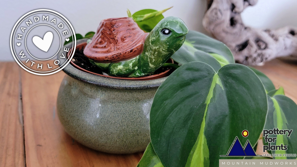 Turtle Plant Watering Spike