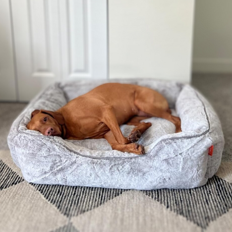 The Sammy Bolster Dog Bed