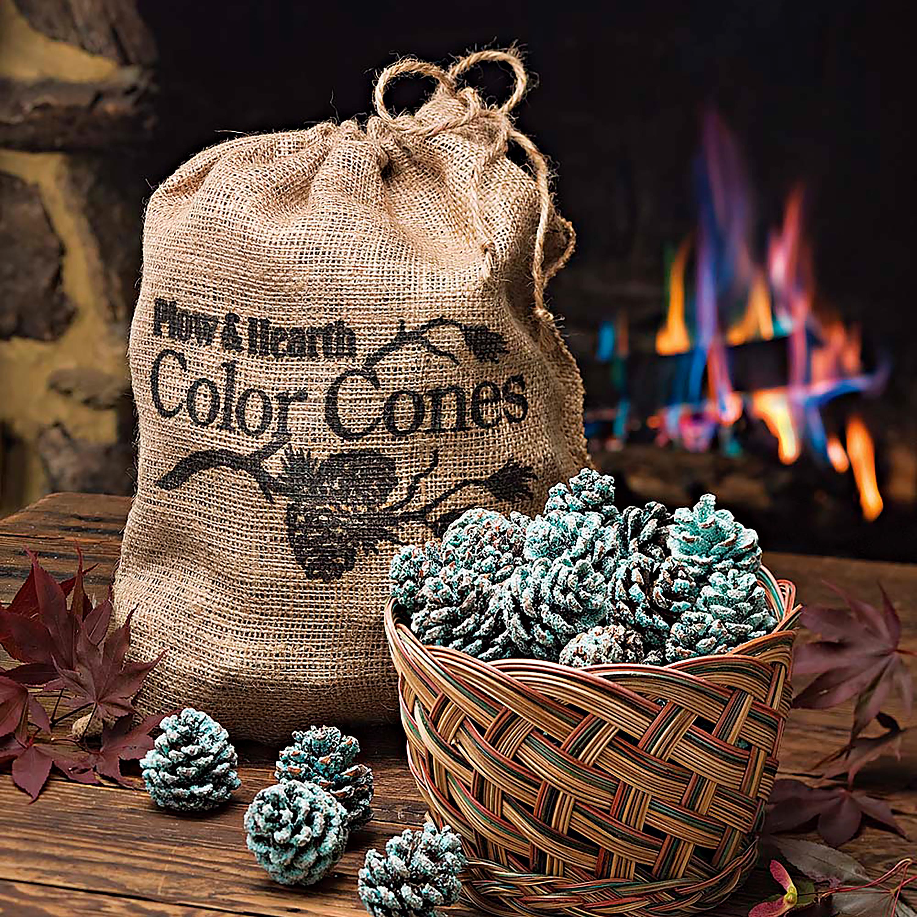 Plow & Hearth Cast Iron Pine Cone Candle Wood Stove Steamer