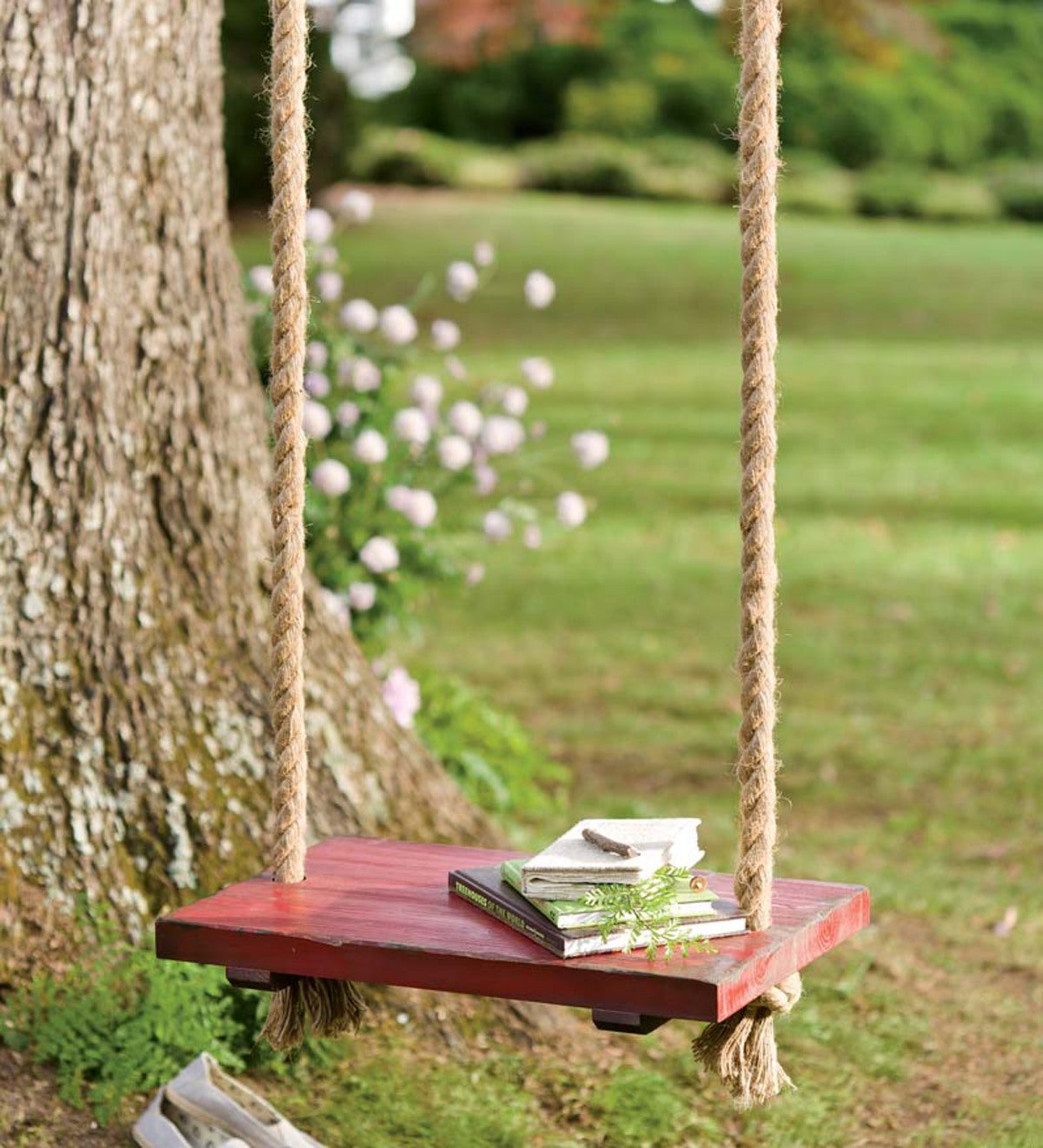 Rope Tree Swing With Wooden Seat