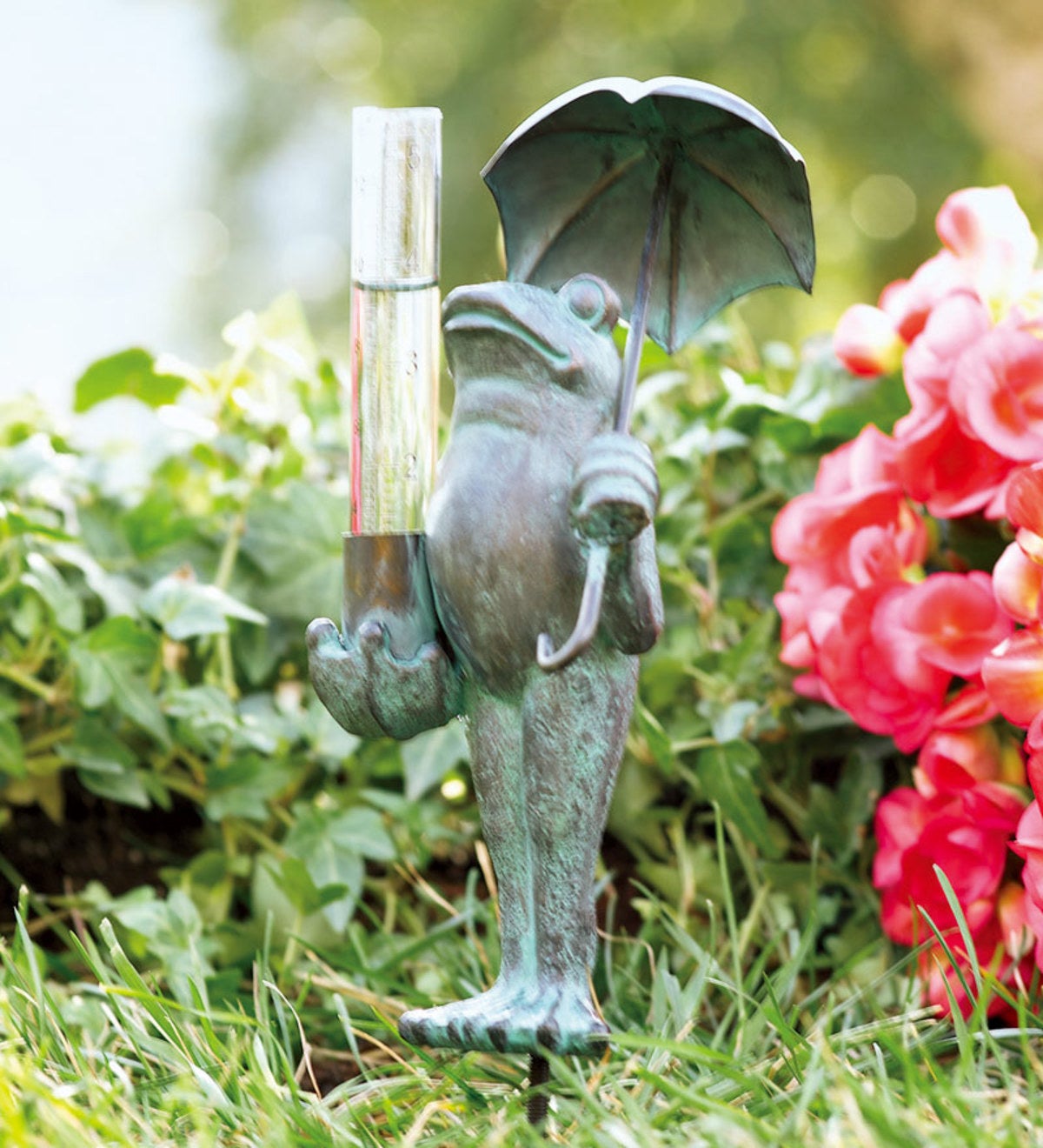 Frog Decorative Rain Gauge