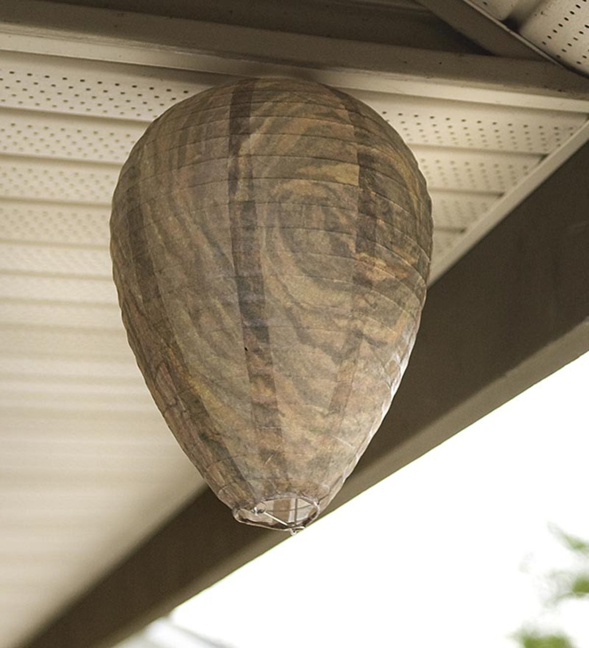 Get Lost Wasp All-Natural Wasp Deterrent