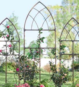 Set Of Large and Two Small Pipe Fitting Cathedral Trellises