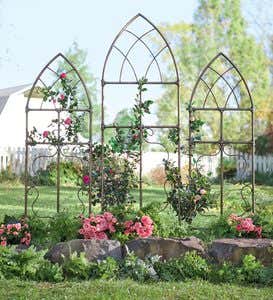 Set Of Large and Two Small Pipe Fitting Cathedral Trellises