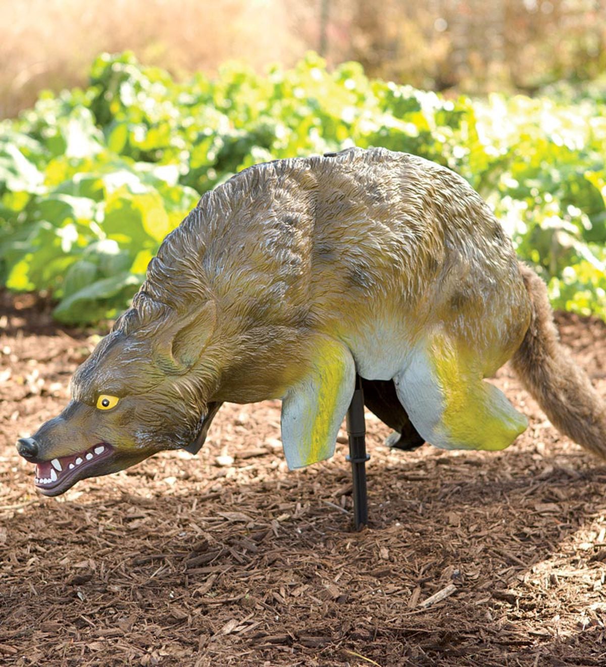 3-D Coyote Decoy Pest Deterrent