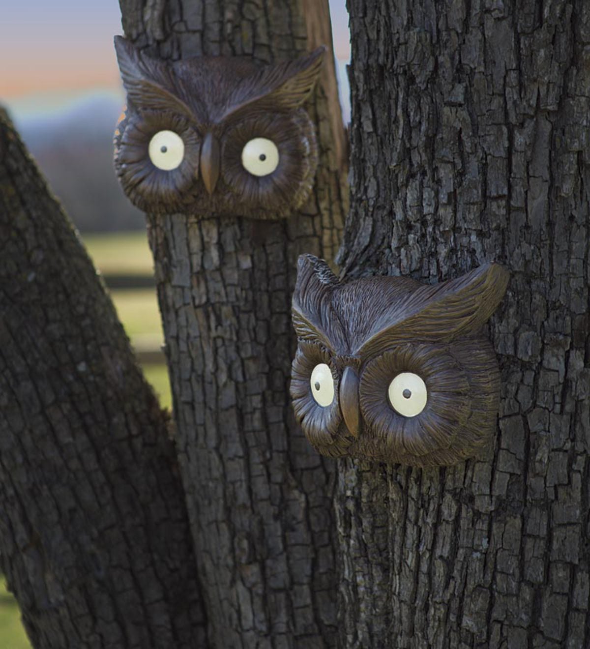 Glowing Owl Eyes Tree Face