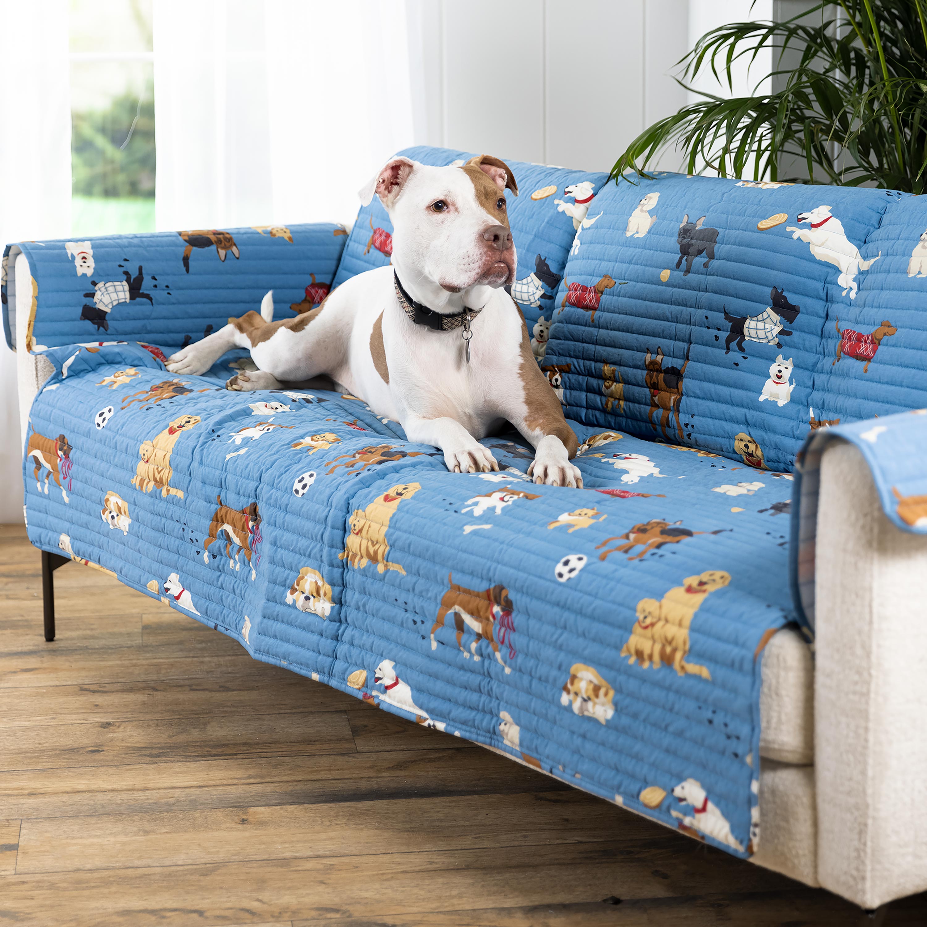 Protective couch hot sale covers dogs