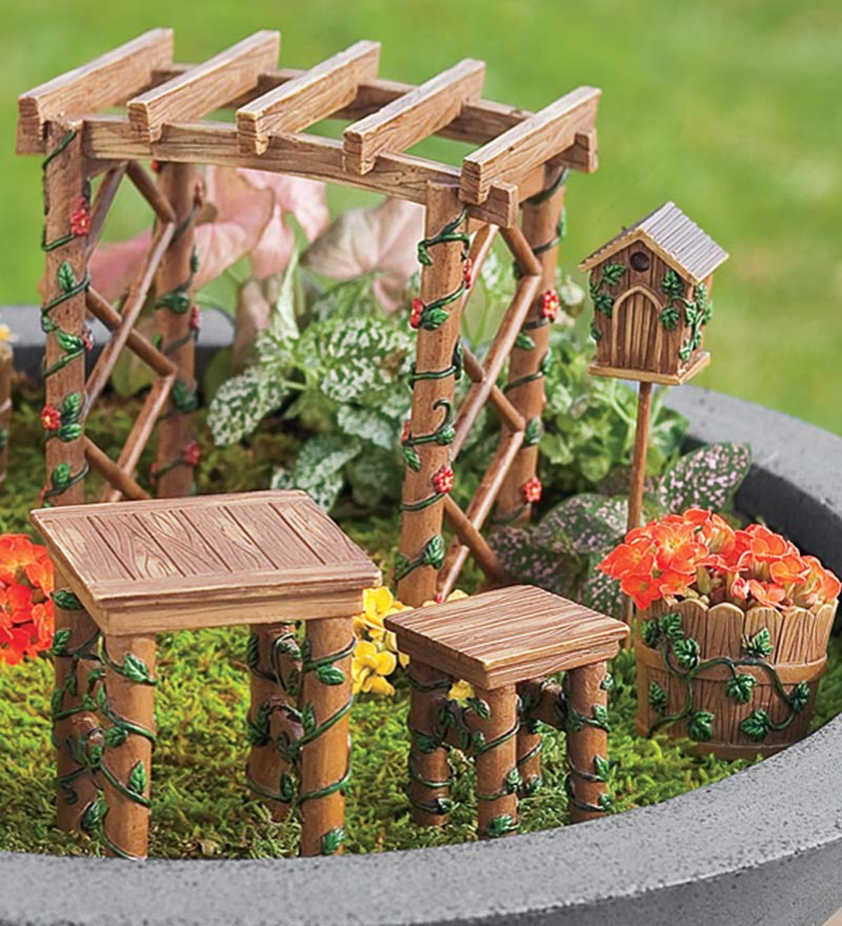 Miniature Gardening — Ivy Trails Gift & Garden