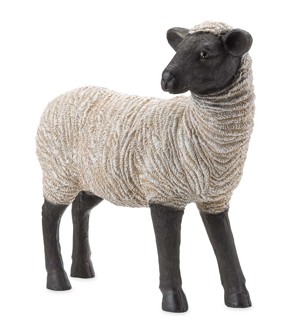 新しいコレクション ENGLAND SHEEP WOOL SUFFOLK BLACK FACE 