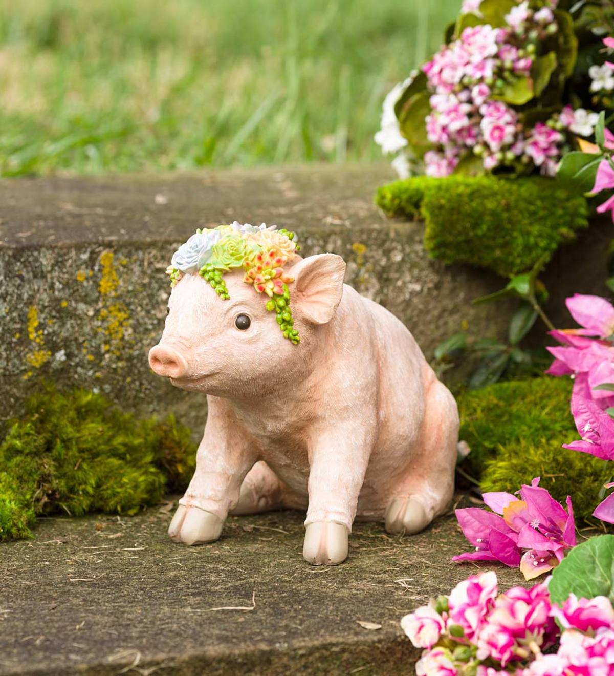 Pig with Succulent Crown Resin Garden Statue | Plow & Hearth