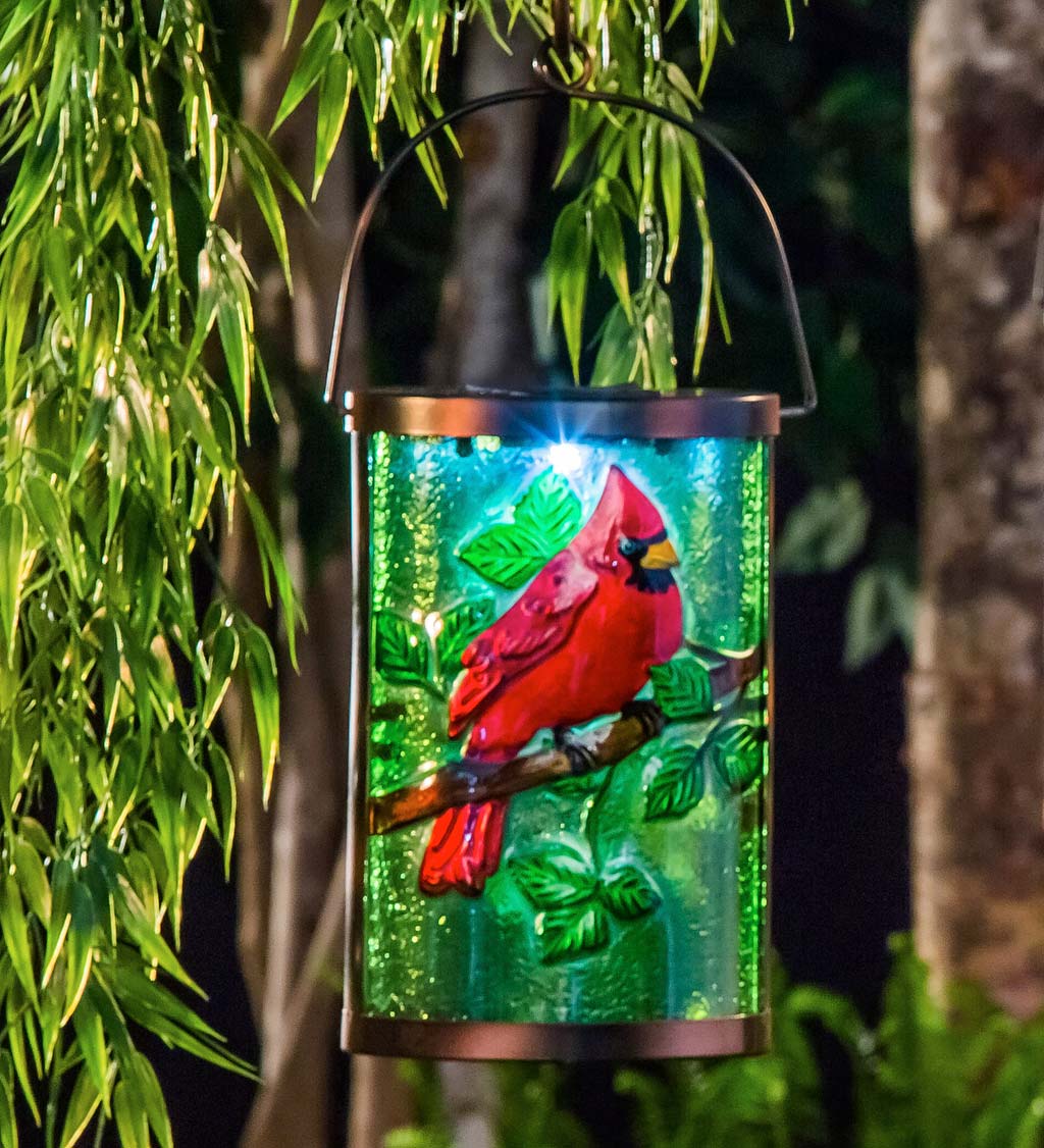 Cardinal shop solar light