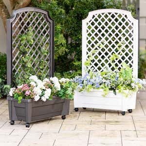 Planter With Trellis And Self-Watering Reservoir