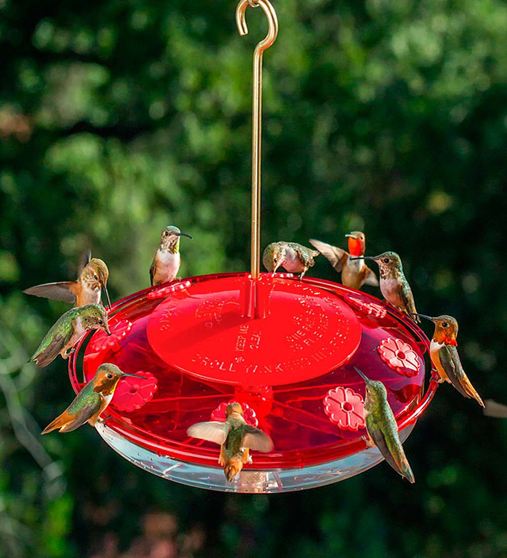 Hummingbird Feeder with Eight Feed Ports