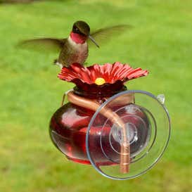 Window Hummingbird Feeders with Ant Moat, 230 ml + 4 Feeding Ports