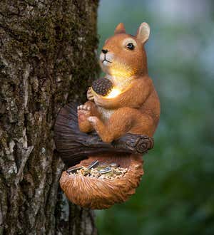 Solar Squirrel Bird Feeder