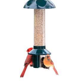 PestOff Sunflower Mixed Seed Pest Proof Bird Feeder