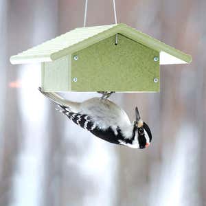 Recycled Plastic Poly-Lumber Upside-Down Suet Feeder