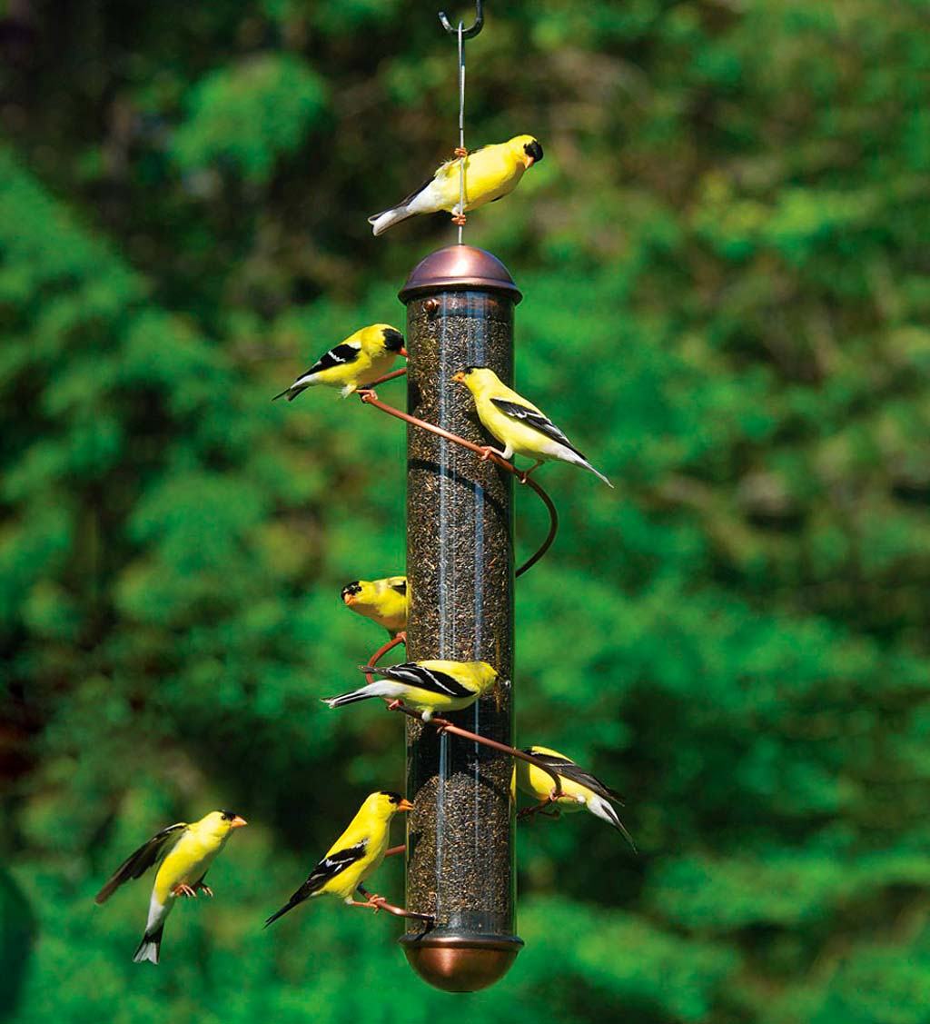 Copper-Colored Spiral-Perch Finch Bird Feeder - Copper | Plow & Hearth