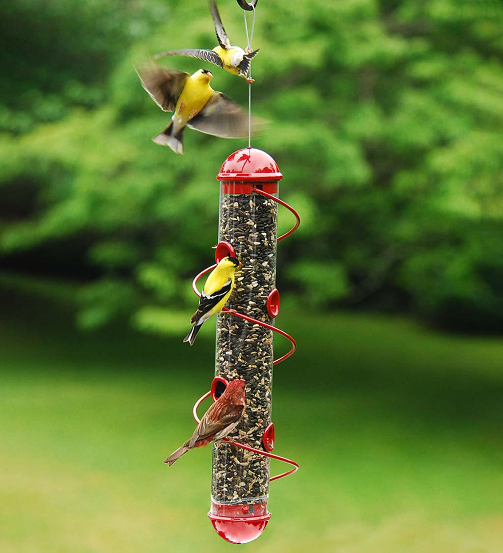 Finch shop bird feeder