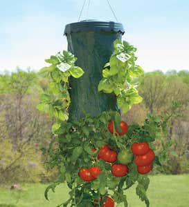 Upside-Down Hanging Tomato Plus Planter