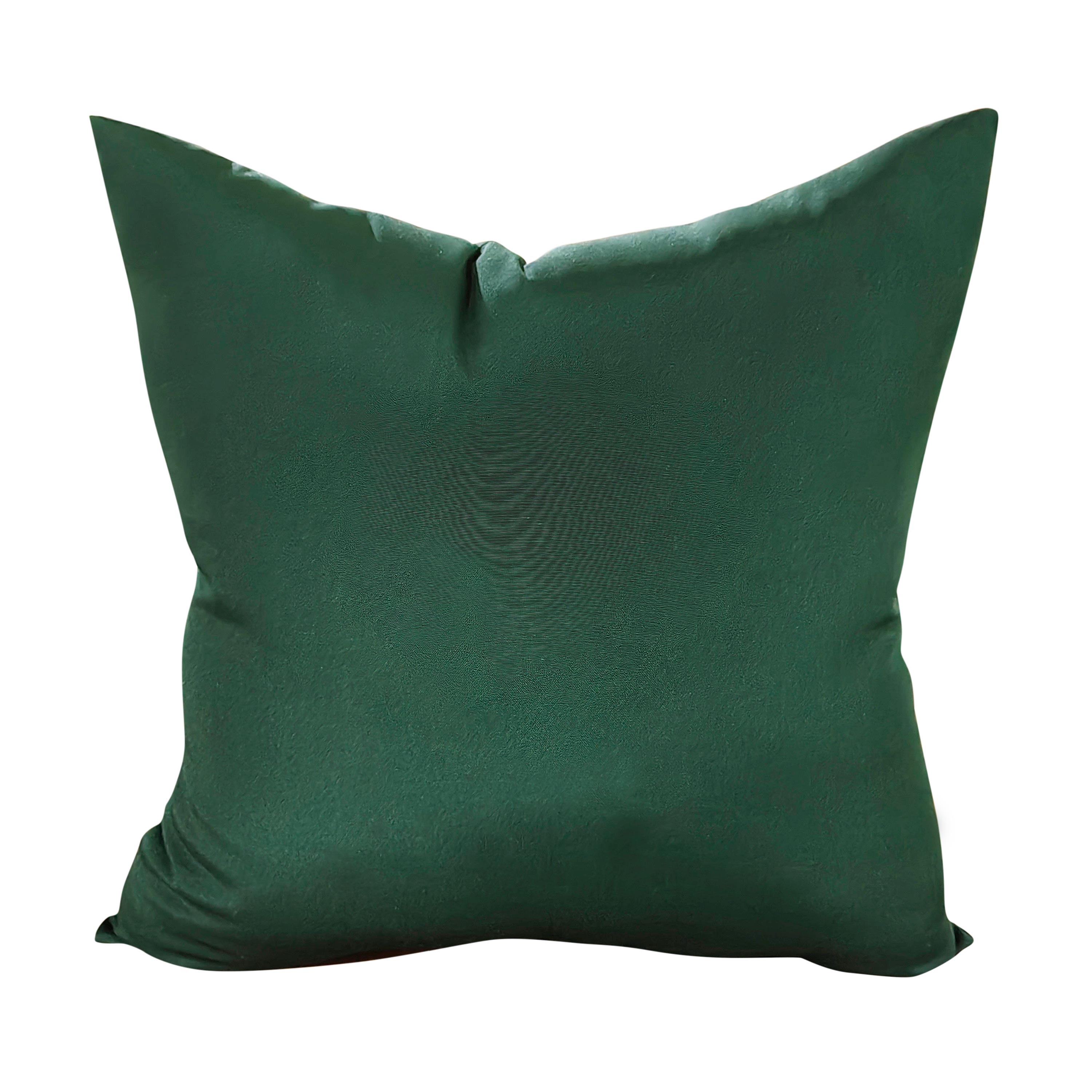 Emerald green 2024 throw pillow