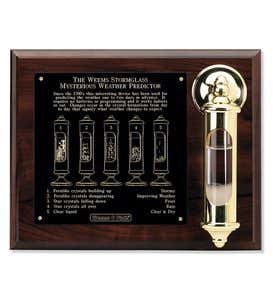 Fitzroy Storm Glass Forecaster