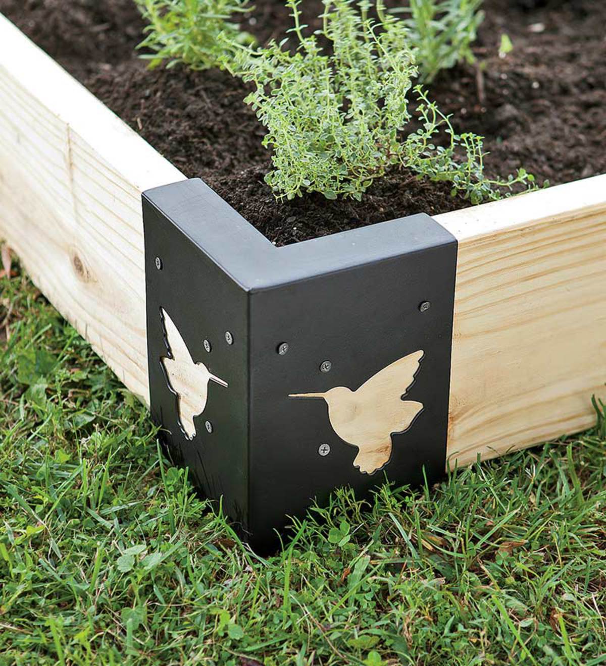 Steel Raised Garden Bed Brackets With Hummingbird Cutouts, Set of 4