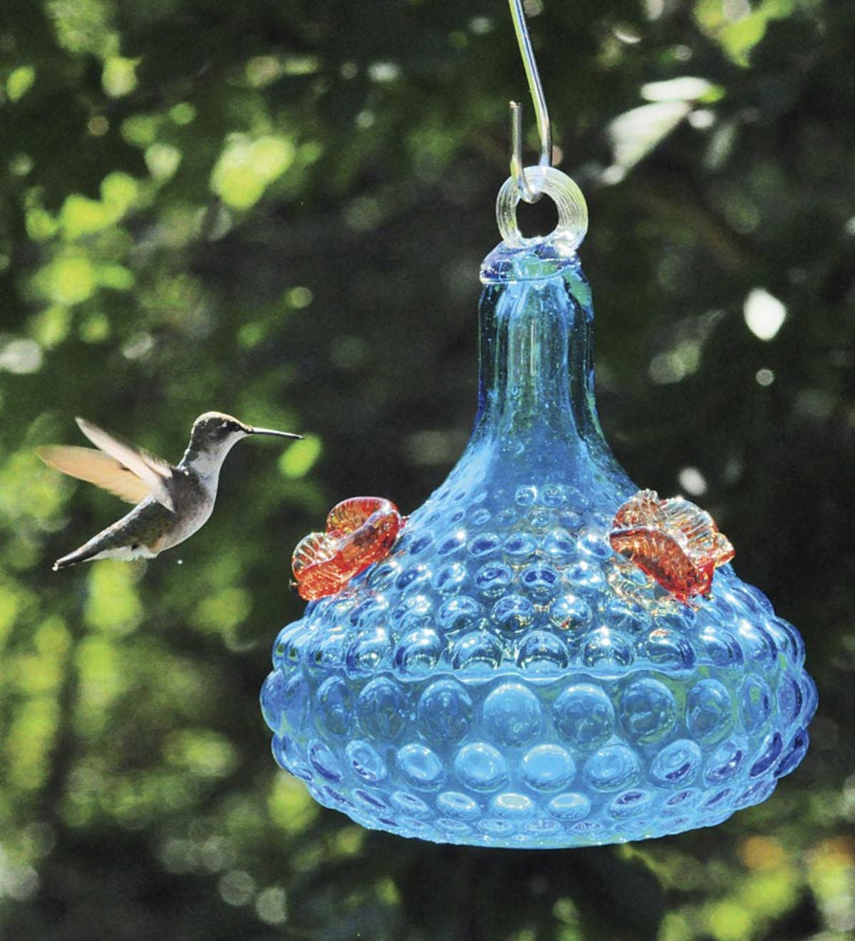 Plow & Hearth Glass Window Hummingbird Feeder & Reviews