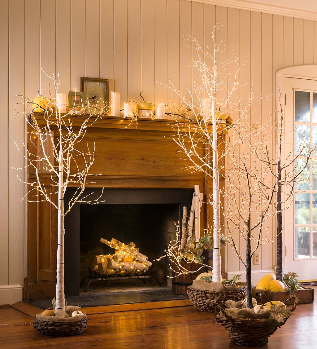 Creative Birch Tree Decorating Ideas for Every Season