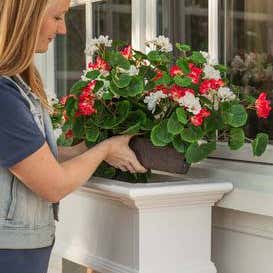 Everlasting Faux Red and White Geranium Window Box Filler