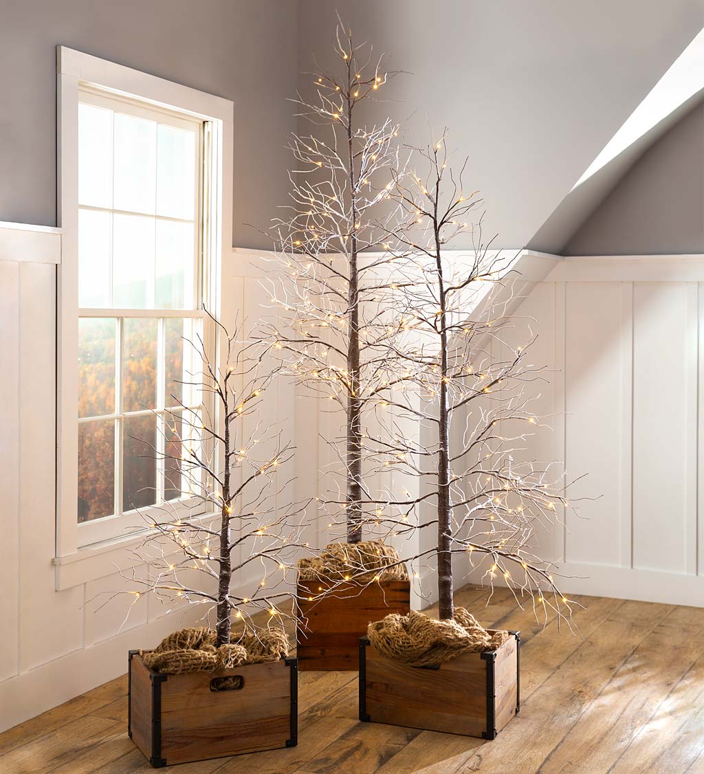 Tree lights deals indoor