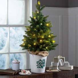 Lighted Tabletop Christmas Tree in White Bucket with Holly Design