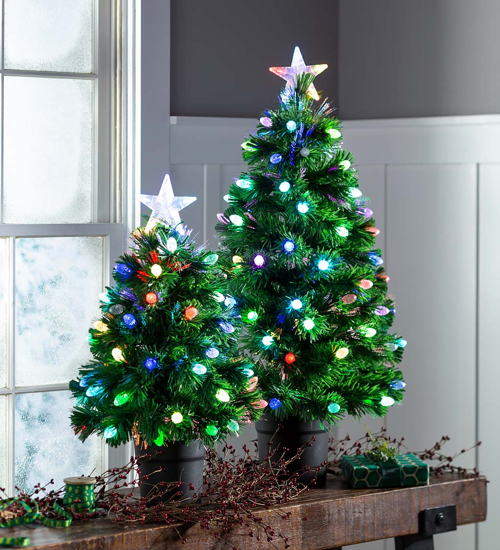 Indoor/Outdoor Battery-Operated Lighted Ceramic Christmas Tree