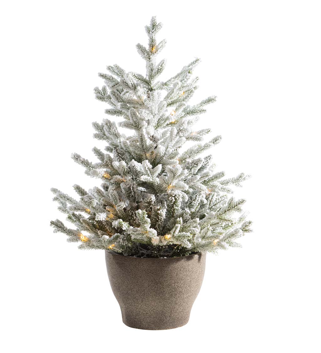 Lighted Potted Snow-Dusted Norway Spruce | Plow & Hearth