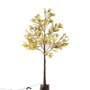 Indoor/Outdoor Electric Lighted Moss Oak Tree, 6'H with 208 lights