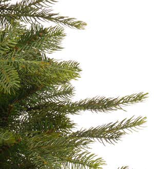 Grandis Fir Potted Christmas Tree | Plow & Hearth