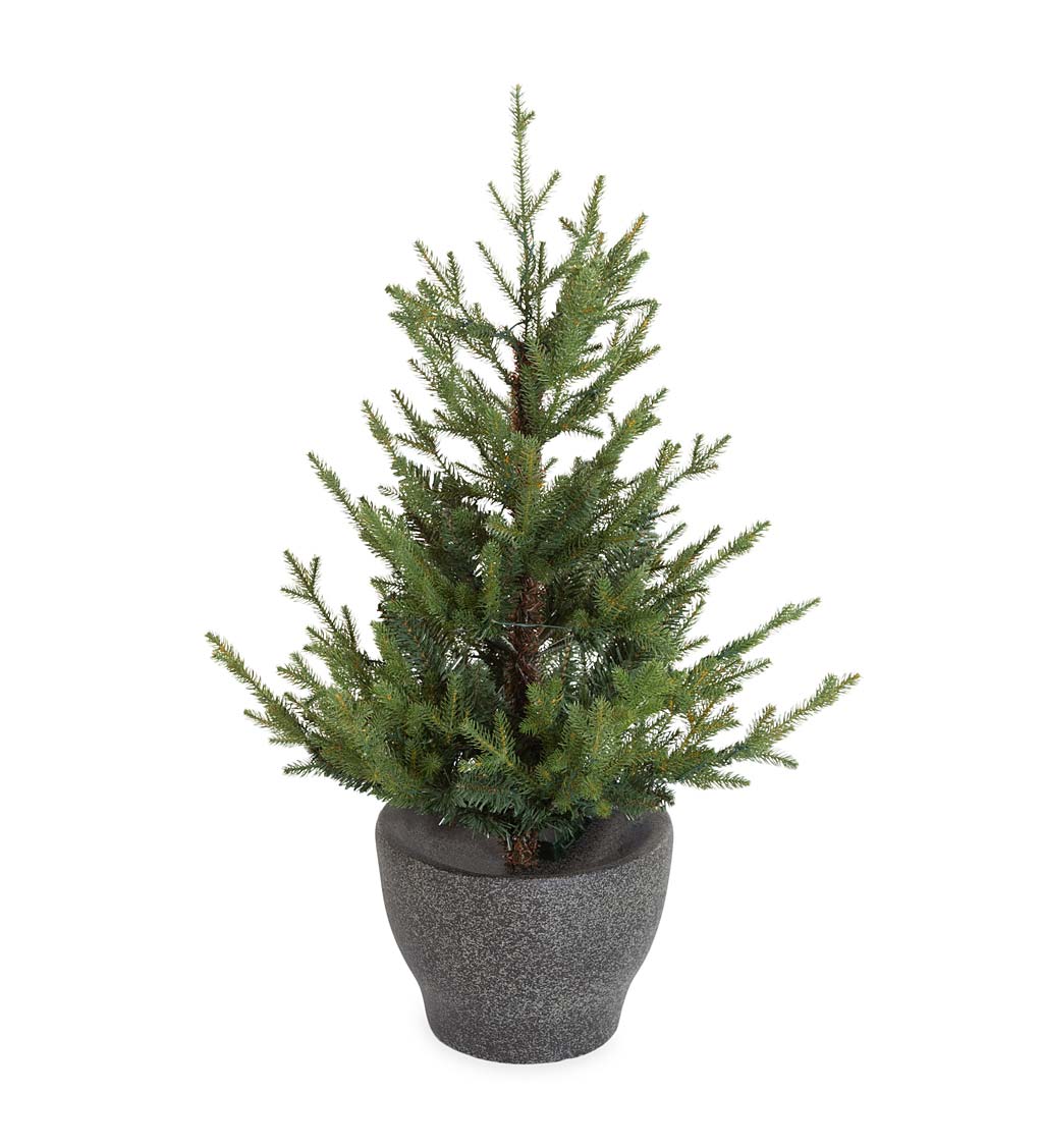 Indoor/Outdoor Roanoke Spruce Potted Tree with Warm White LEDs | Plow ...