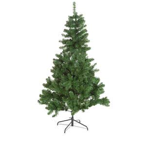 6' Montfair Pine Christmas Tree