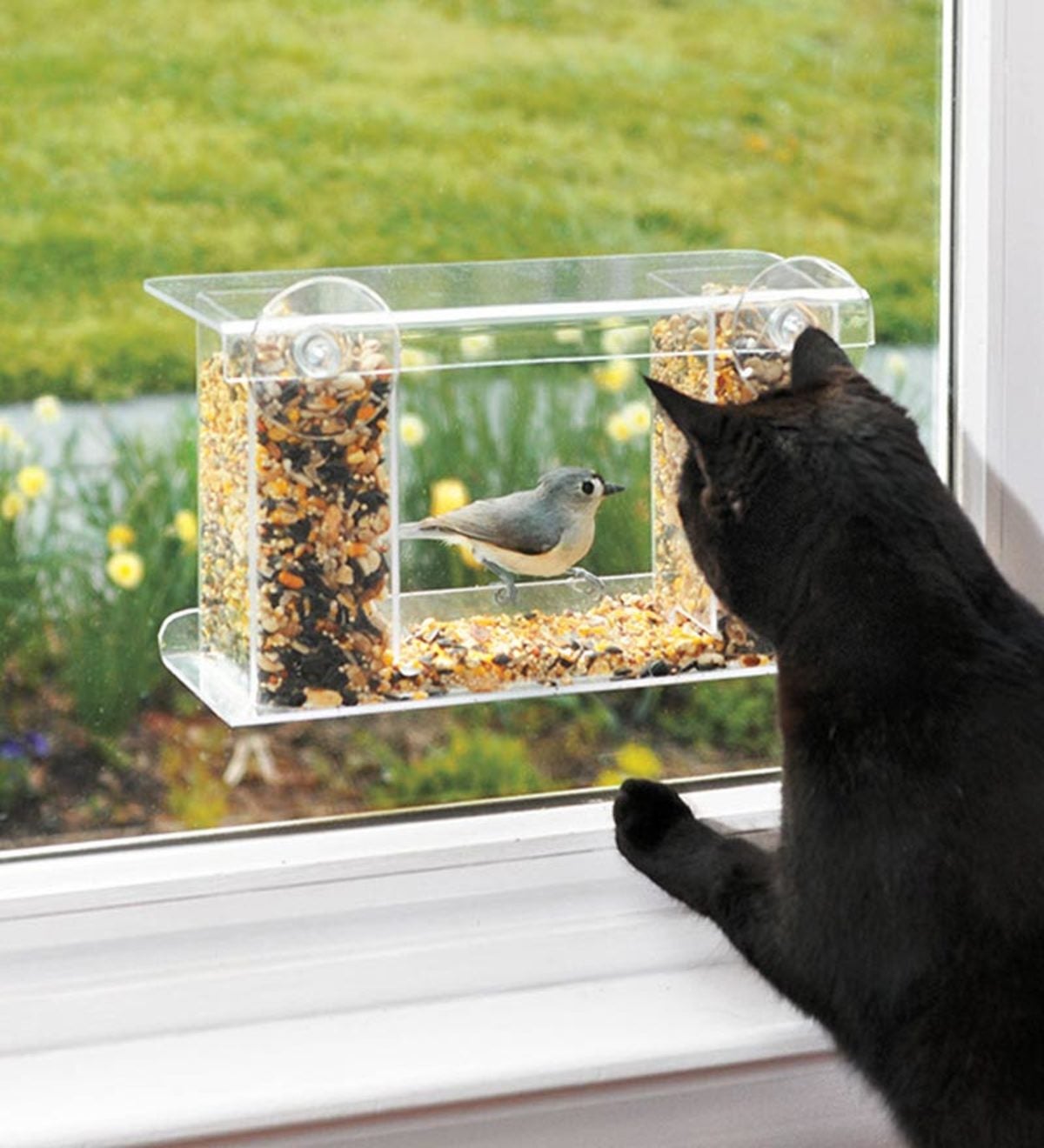 Clear Plastic Window Bird Feeder for Outside - Clear Window Bird Feeders  with Suction Cups - Transparent Bird Feeder Window Mount Acrylic Bird House  for Cat Window Perch 