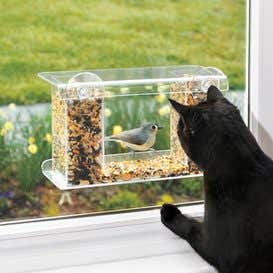 One-Way Mirror Window Mount Bird Feeder