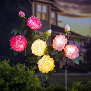 Light Pink Peony Solar Garden Stake