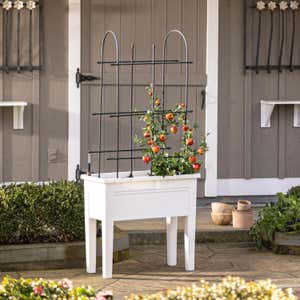 Self-Watering Planter with Climbing Rack