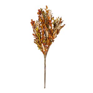 Bunny Tail Grass Branch