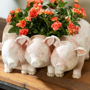 Animal Trio Planter