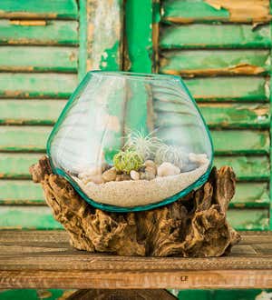 Medium Recycled Glass Planter with Driftwood Base