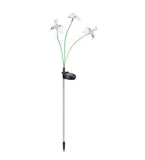 Color-Changing Solar Lighted Butterflies, Hummingbirds and Dragonflies on Flexible Garden Stakes, Set of 3