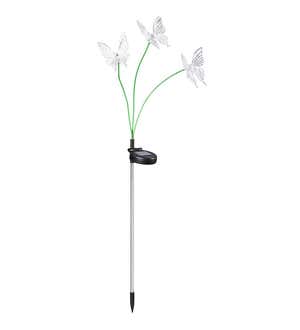 Color-Changing Solar Lighted Butterflies, Hummingbirds and Dragonflies on Flexible Garden Stakes, Set of 3