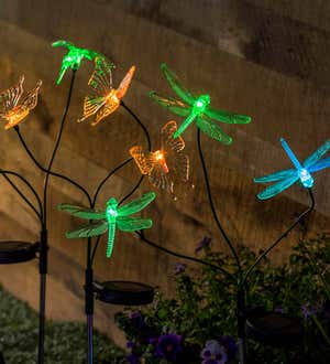 Color-Changing Solar Lighted Butterflies, Hummingbirds and Dragonflies on Flexible Garden Stakes, Set of 3